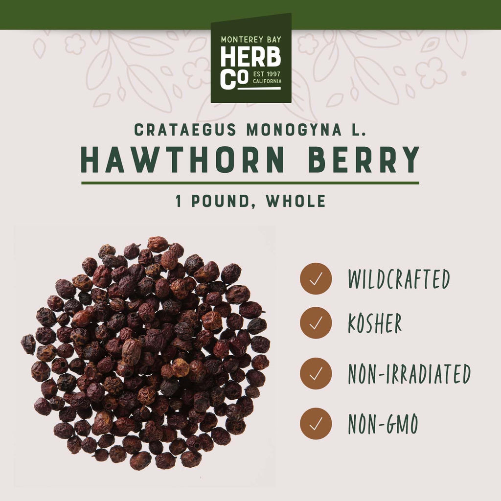 Monterey Bay Herb Co. Hawthorn Berries Whole 1 lb – Teas, Jams & Beverages