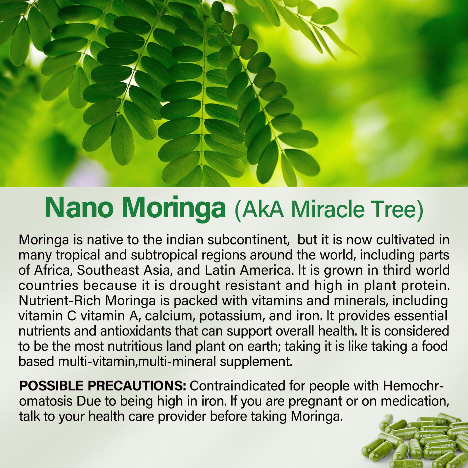 Moringa Capsules 800mg | Pure Moringa Powder Capsules for Energy, Skin & Immune Support – 90 Caps