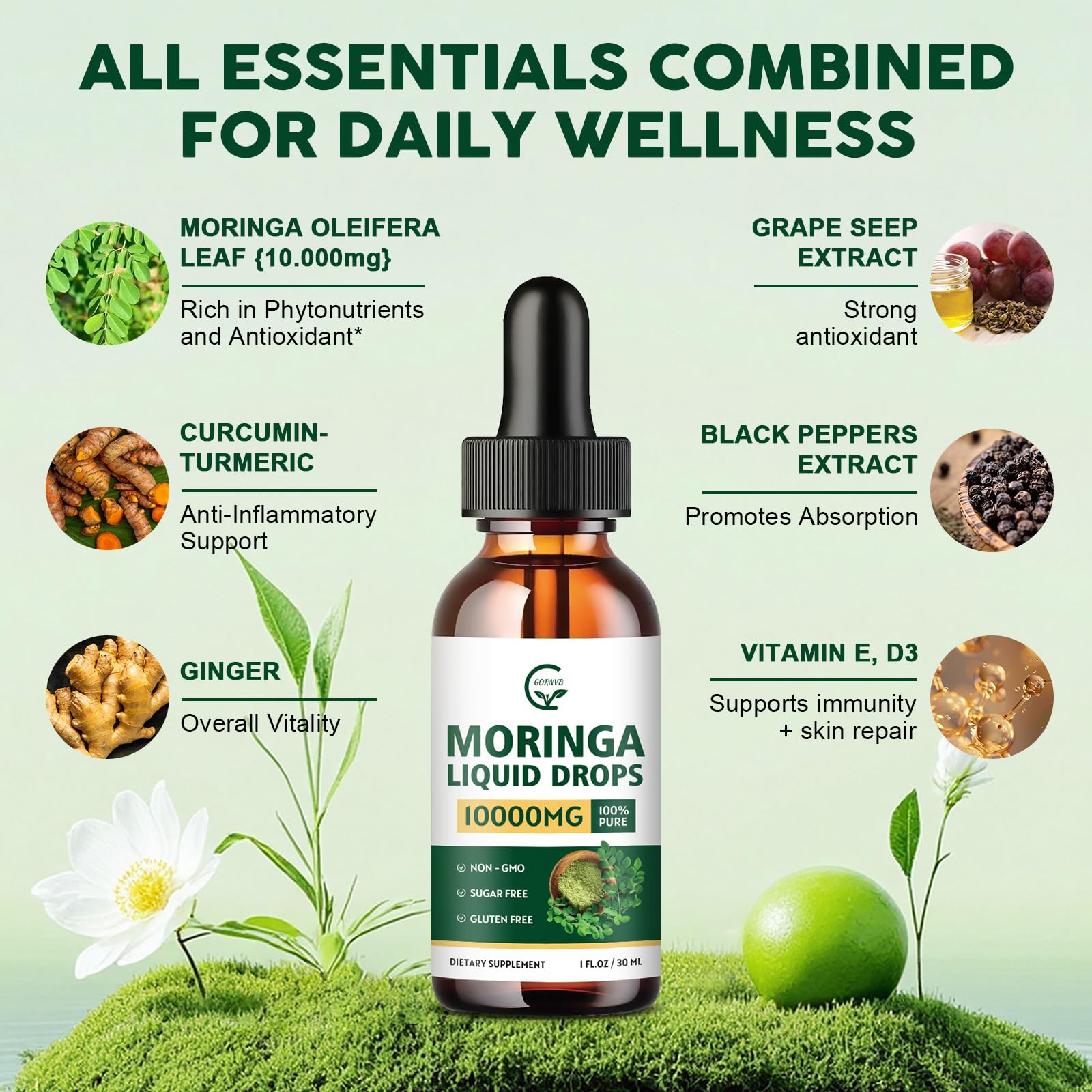 2 Pack Organic Moringa Liquid Drops with Turmeric & Black Pepper