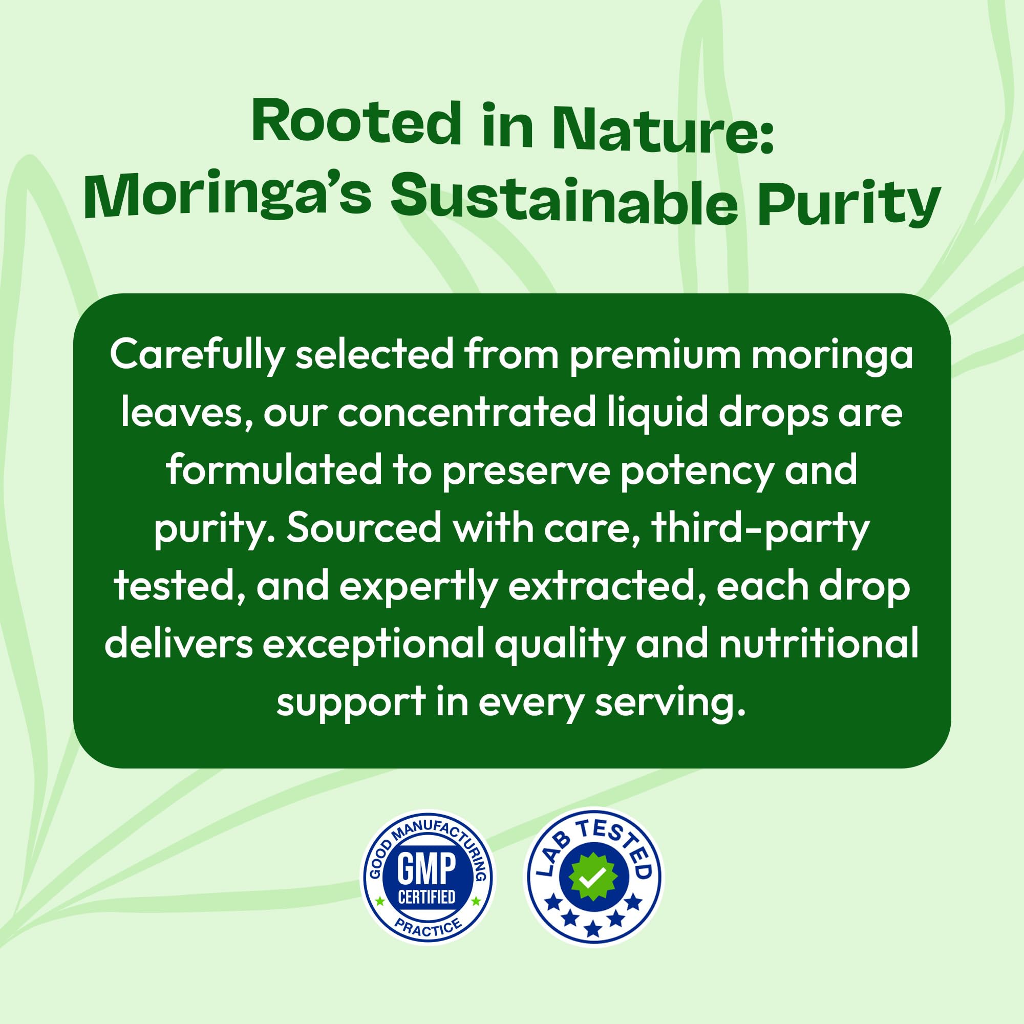 Moringa Liquid Drops – Vegan, Gluten Free (60 mL) – Mixed Berry
