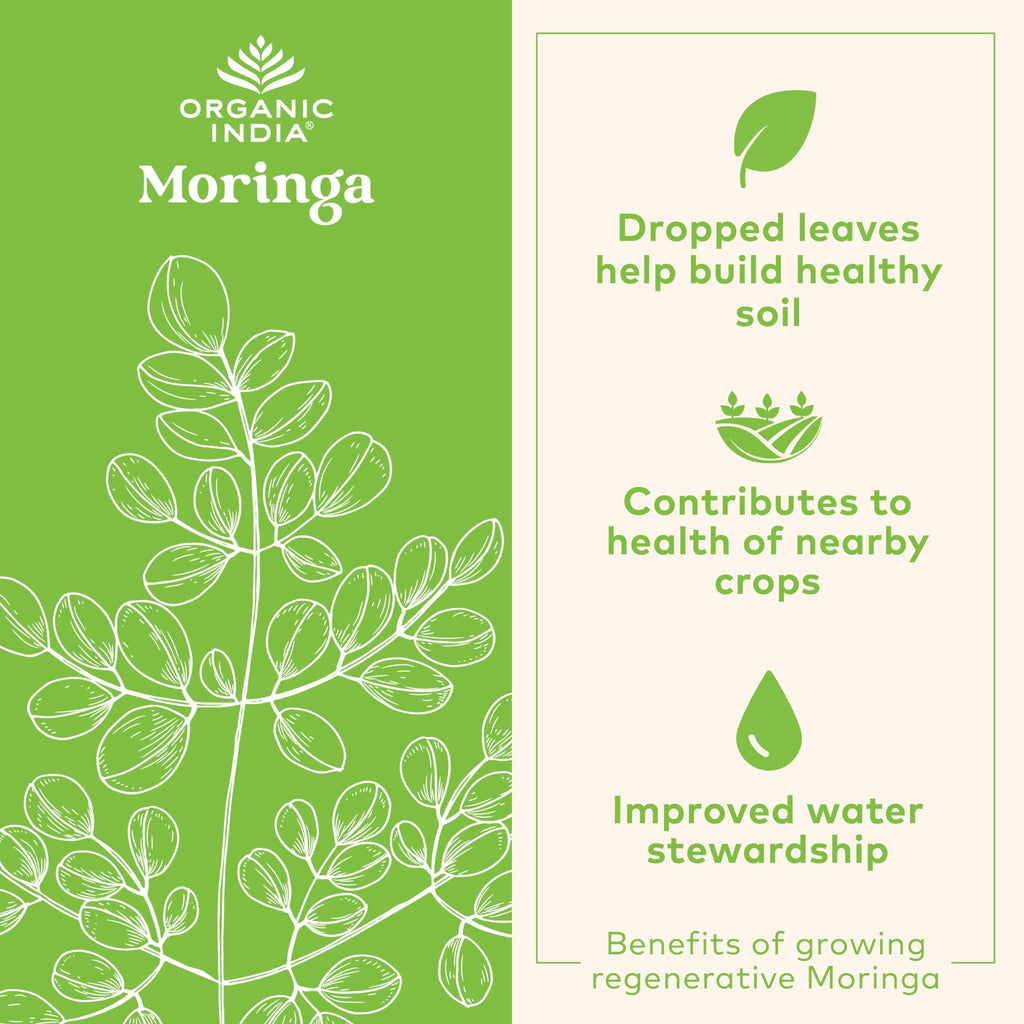 Organic India Moringa Capsules Organic – Green Superfood, Vegan, Gluten-Free | 90 Capsules