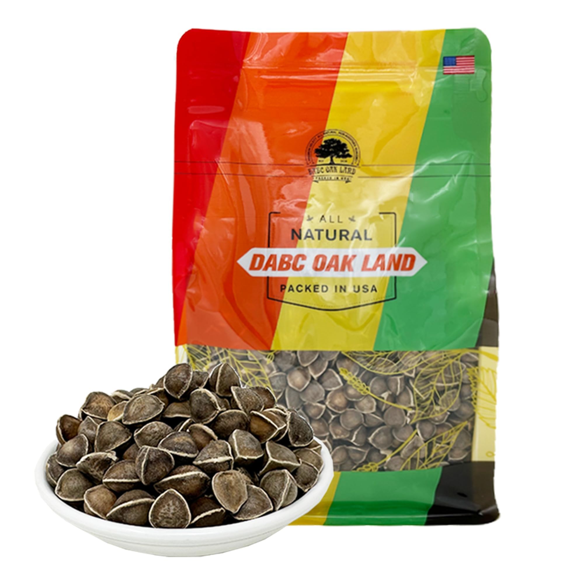 Premium Moringa Seed Moringa Oleifera Malunggay Drumstick Seeds from India – 8 oz Bag, 100% Natural Superfood