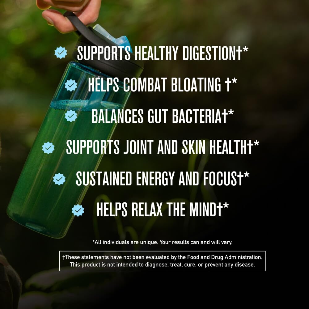 ROUNDHOUSE PROVISION Morning Kick Greens Powder – Ashwagandha, Collagen & Probiotics | Sugar Free, Caffeine Free (3 Pack) Strawberry Lemonade by Chuck Norris