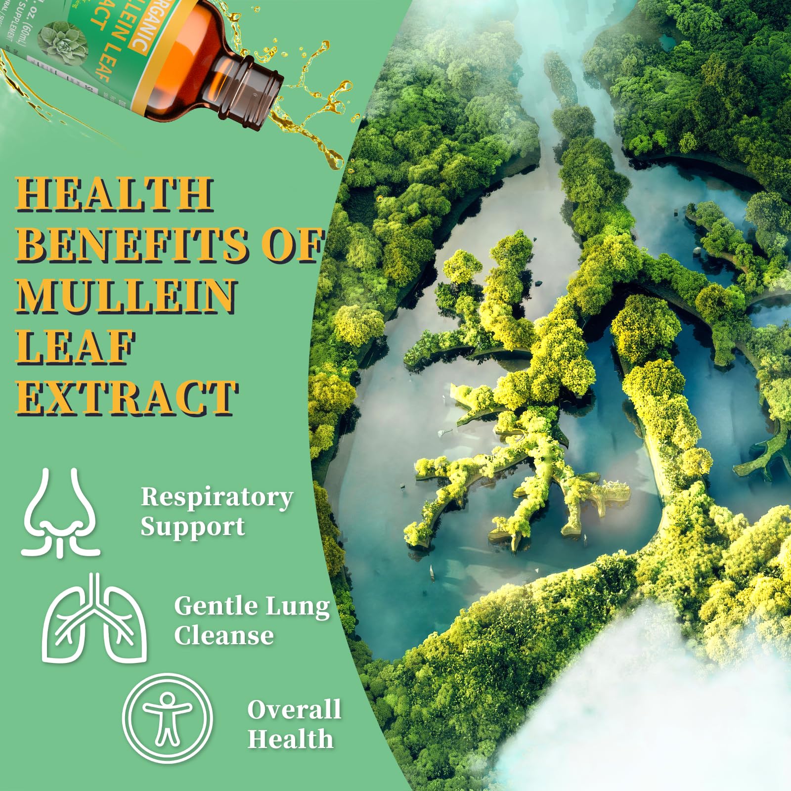 Mosslly 1700mg Mullein Drops – Organic Mullein Leaf for Lungs (2 fl oz)