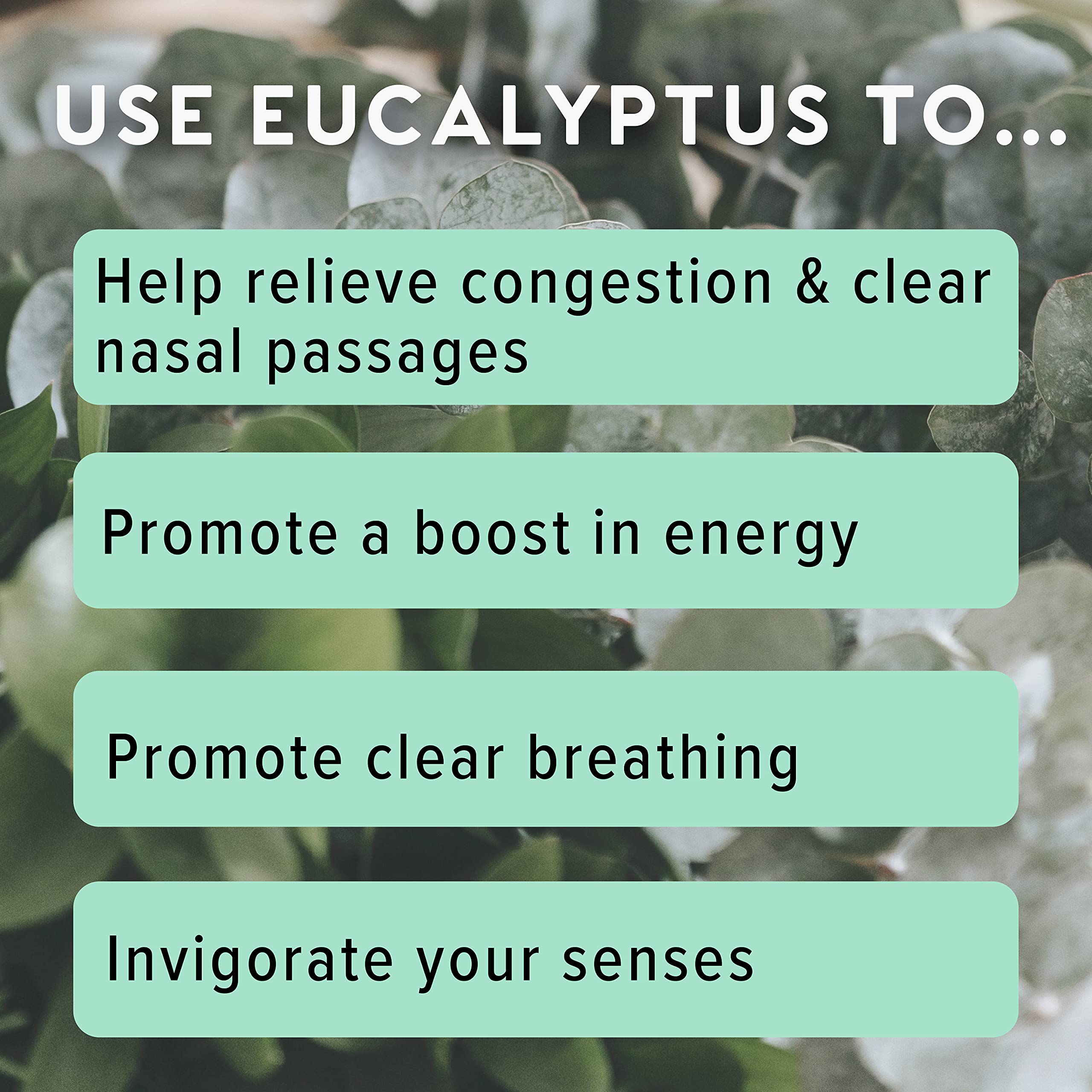 MOXĒ Eucalyptus Essential Oil Nasal Inhaler | Sinus Relief, Daily Relaxation & Stress Relief | Made in USA