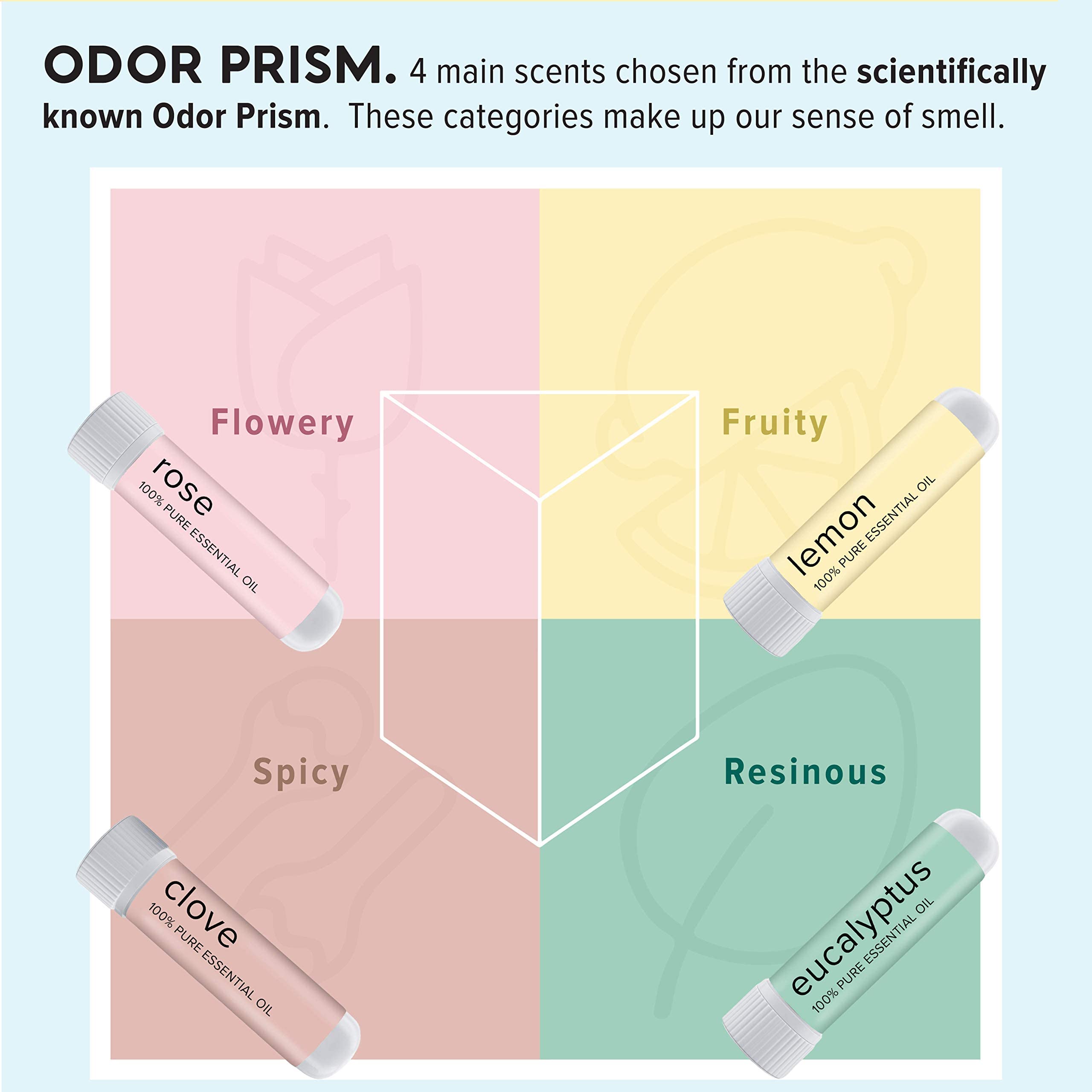 MOXĒ Smell Training Kit | Made in USA | 4 Essential Oils (Phase 1)