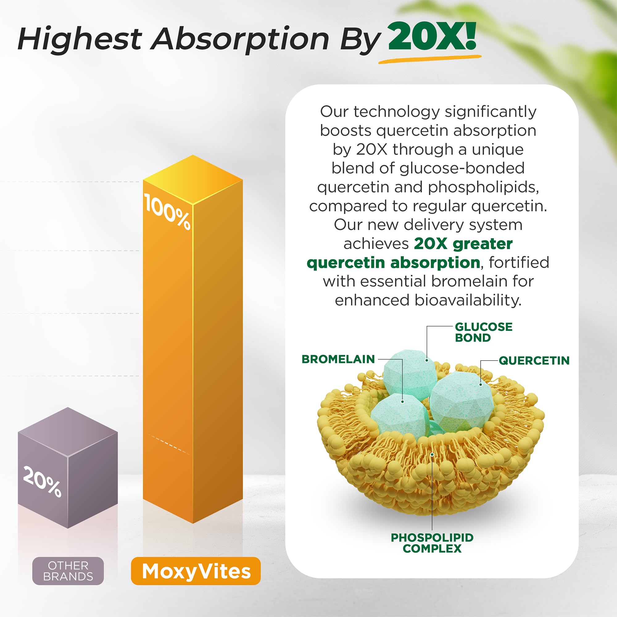 MoxyVites Quercetin 500mg with Bromelain | 20x Absorption, 120 Caps
