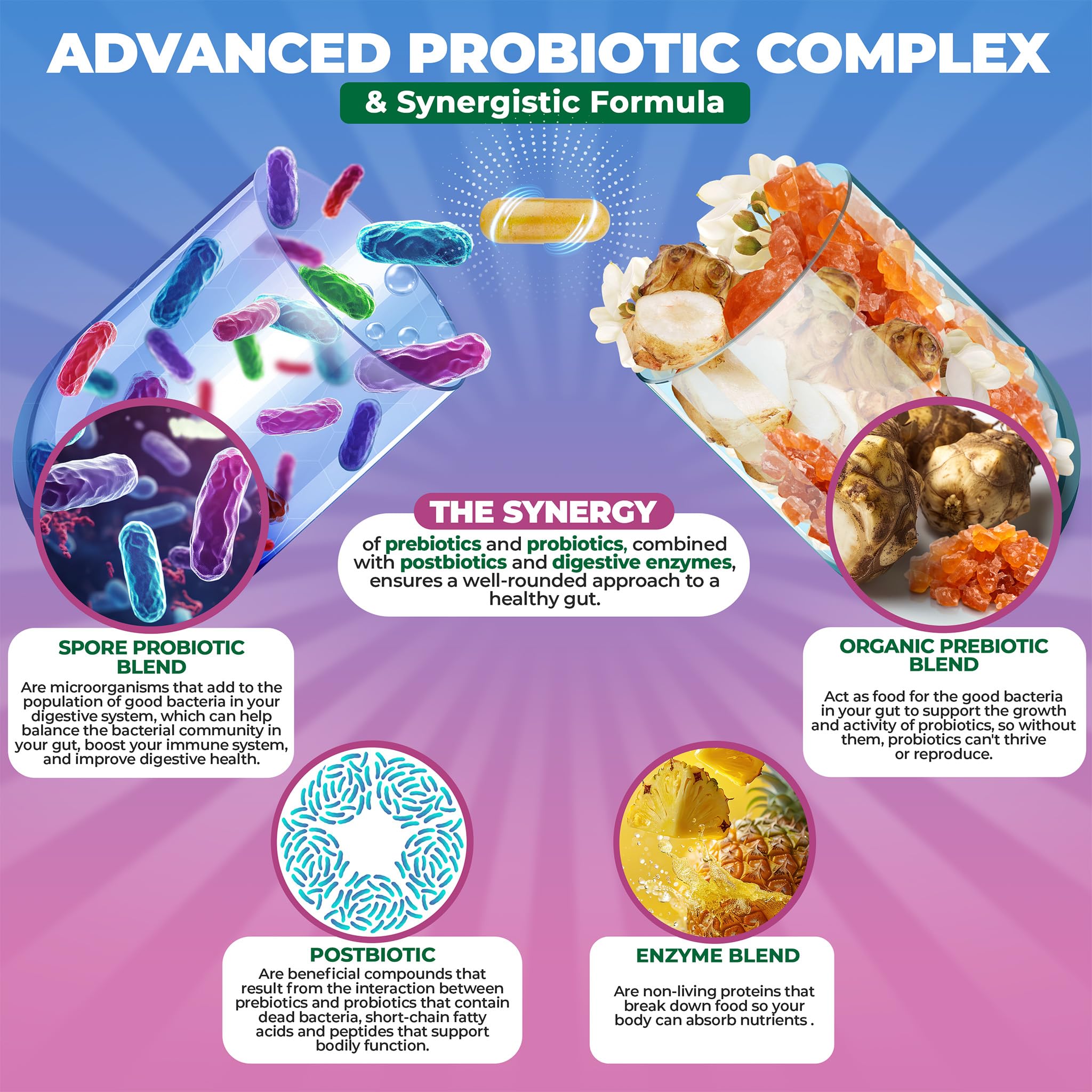 MoxyVites Spore Probiotic Complex – All-in-One Digestive Health with Prebiotics & Probiotics