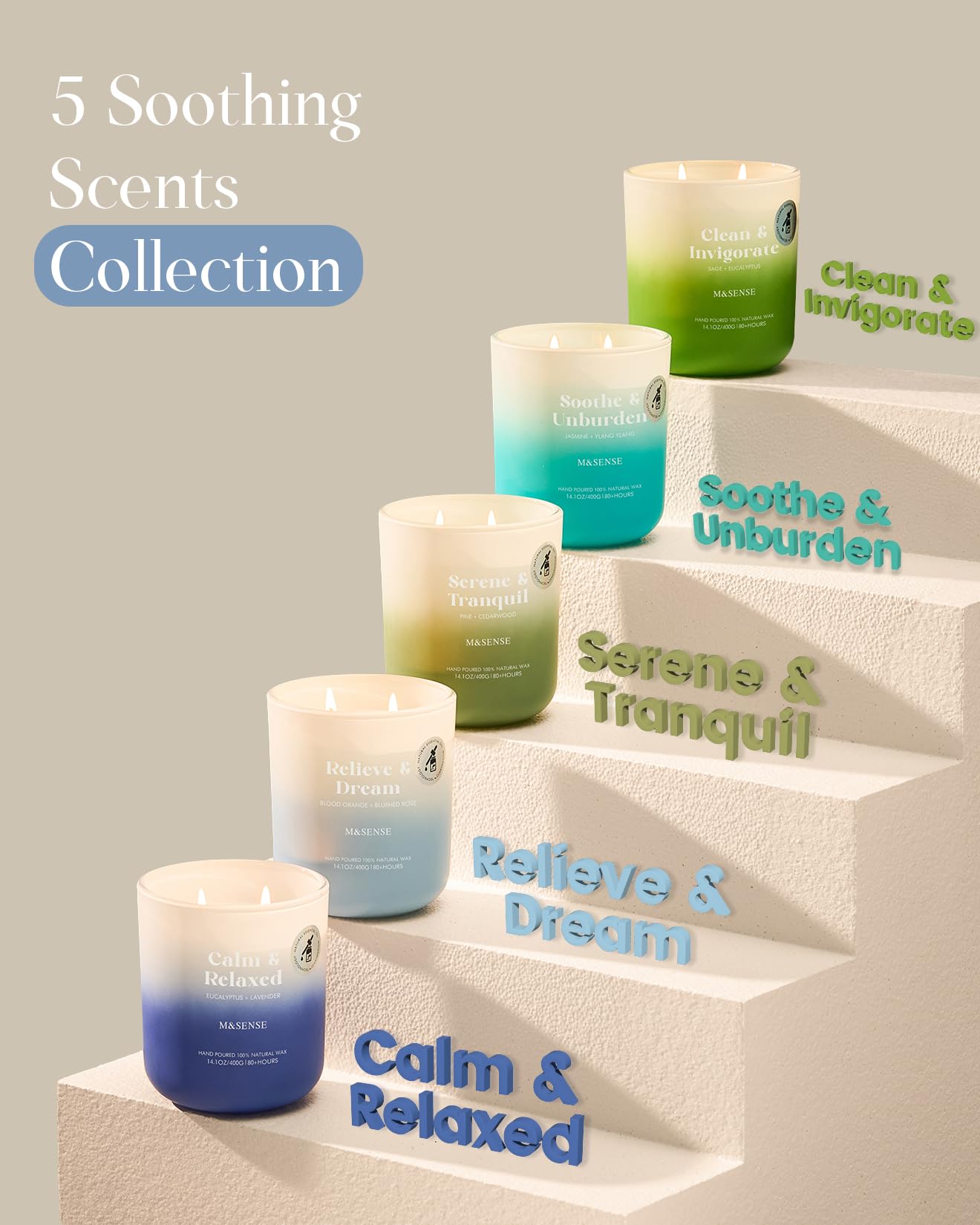 M&SENSE Sage Eucalyptus Scented Candle – 14.1oz, 80-Hour Non-Toxic Soy Wax, 2-Wick Aromatherapy