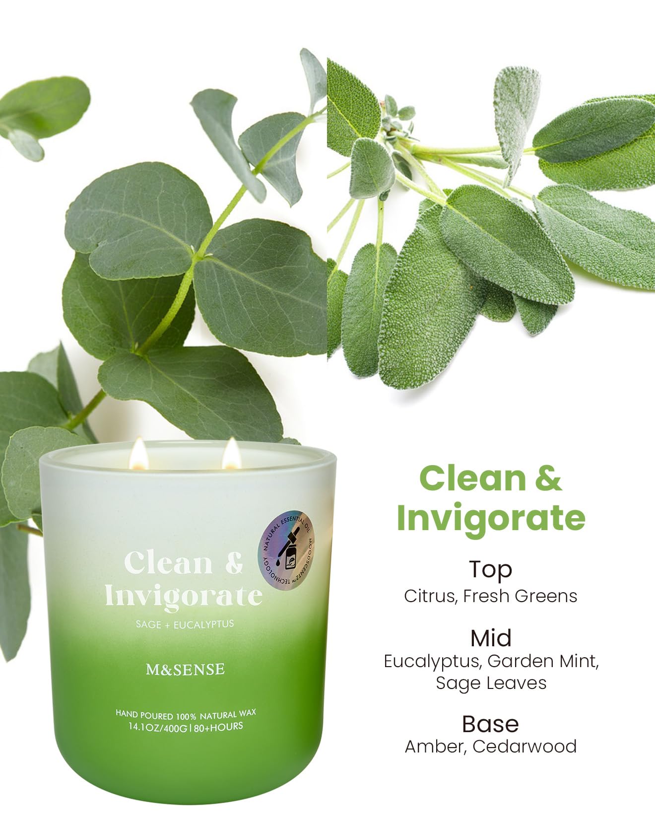 M&SENSE Sage Eucalyptus Scented Candle – 14.1oz, 80-Hour Non-Toxic Soy Wax, 2-Wick Aromatherapy