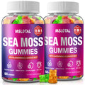 MSLOTAL Irish Sea Moss Gummies with Black Seed Oil, Ashwagandha & Shilajit – Immune Support, Vegan, 120 Gummies