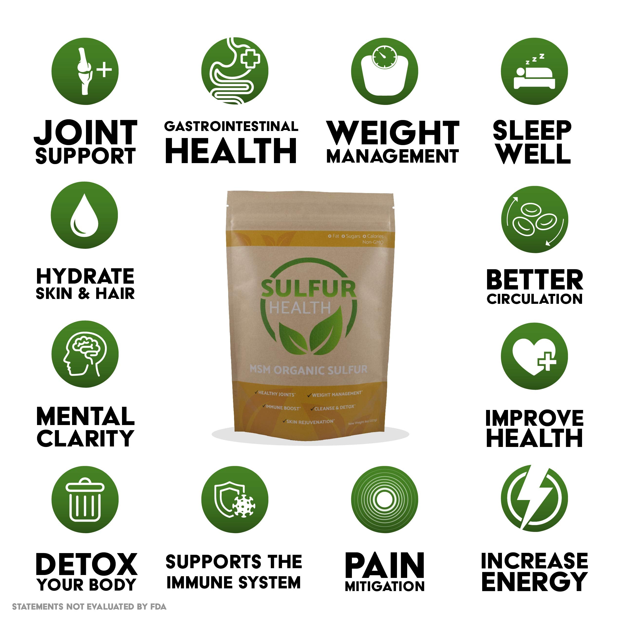 MSM Organic Sulfur - 99.9% Pure MSM Supplement - Lab-Tested & Certified (1 Pound)