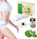 Mugwort Belly Patch – Natural Wormwood Patches & Belly Stickers
