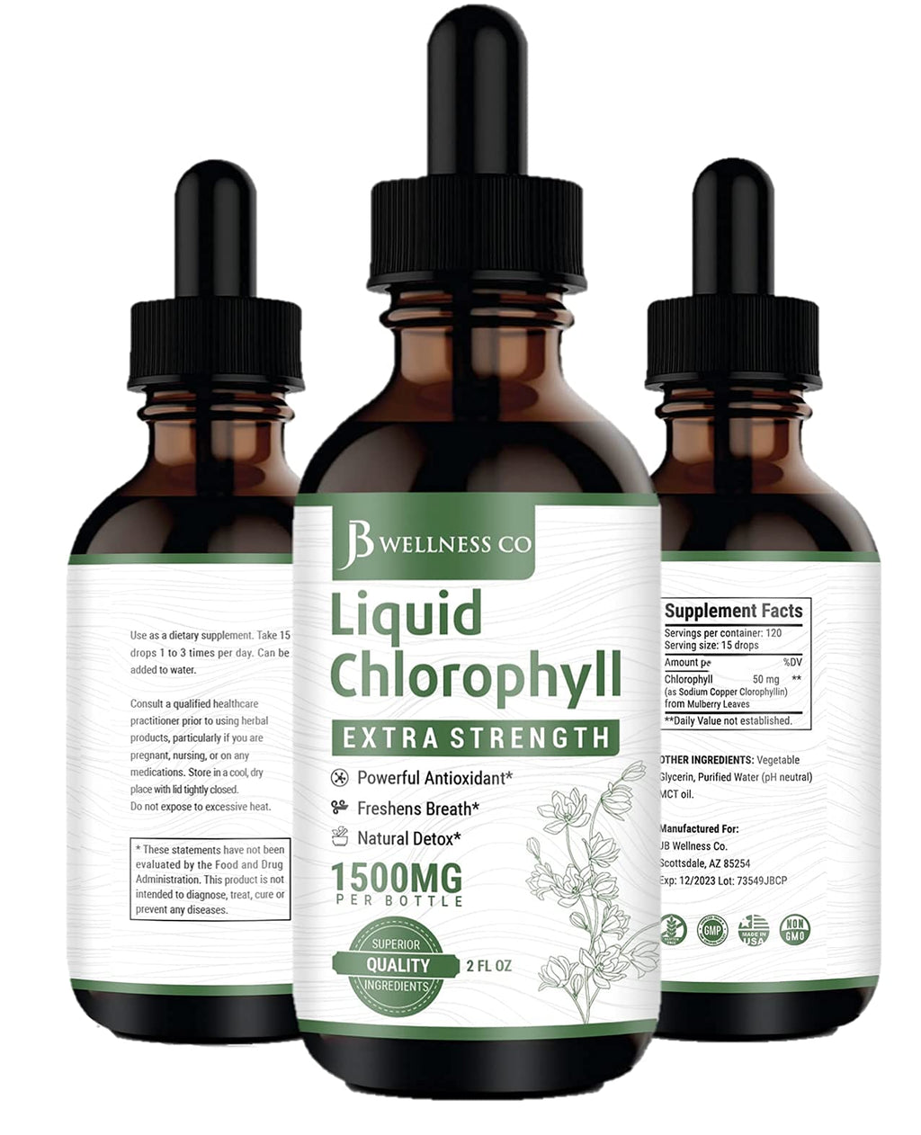[2-Pack] Liquid Chlorophyll Drops – All-Natural Concentrate for Immune Support, Energy & Digestion | Mulberry Leaves - 240 Servings