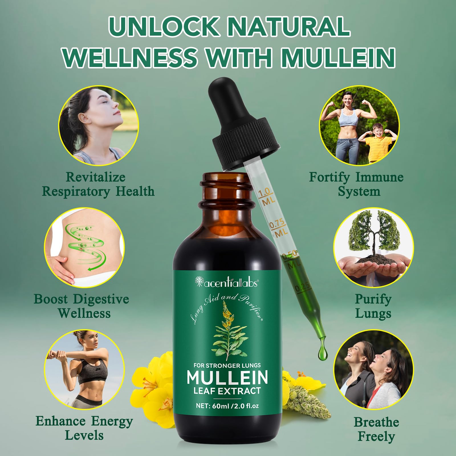 Mullein Drops for Lungs - 4 Fl Oz | Respiratory Support & Immune Health