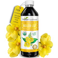 Herbal Goodness Mullein Drops for Lungs – Organic 15X Mullein Extract, Alcohol-Free