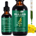 Mullein Drops for Lungs – Natural Mullein Leaf Extract & Lung Health | 2.02 fl oz