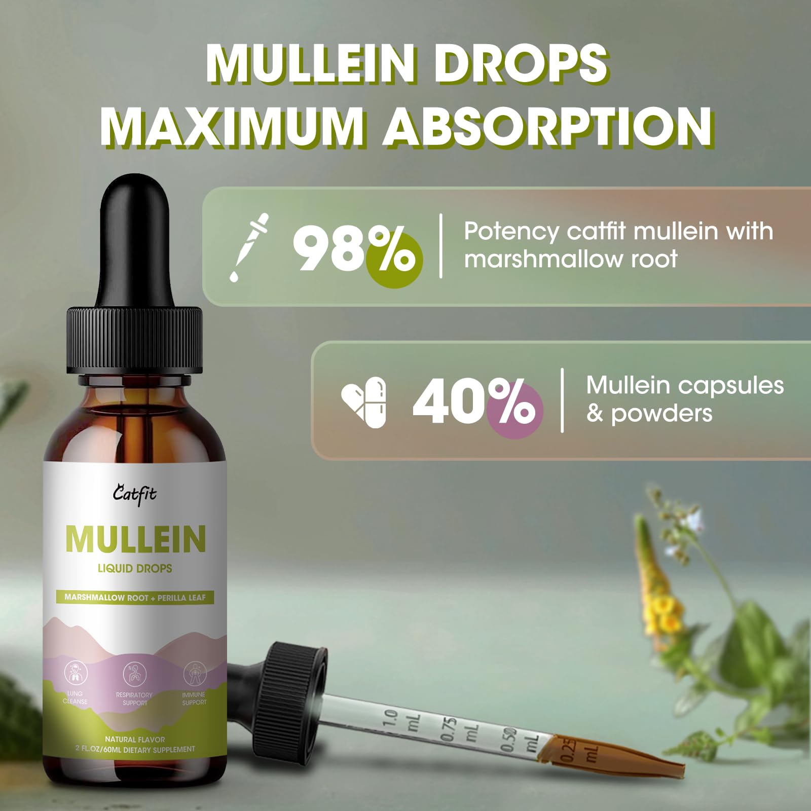 Mullein Drops for Lungs – Herbal Respiratory Support with Mullein, Marshmallow, Perilla & Astragalus, 2 fl oz | Vegan