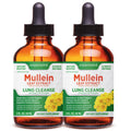 Mullein Drops for Lungs Cleanse – 2 Pack Lung Support Tincture with Mullein Leaf Extract