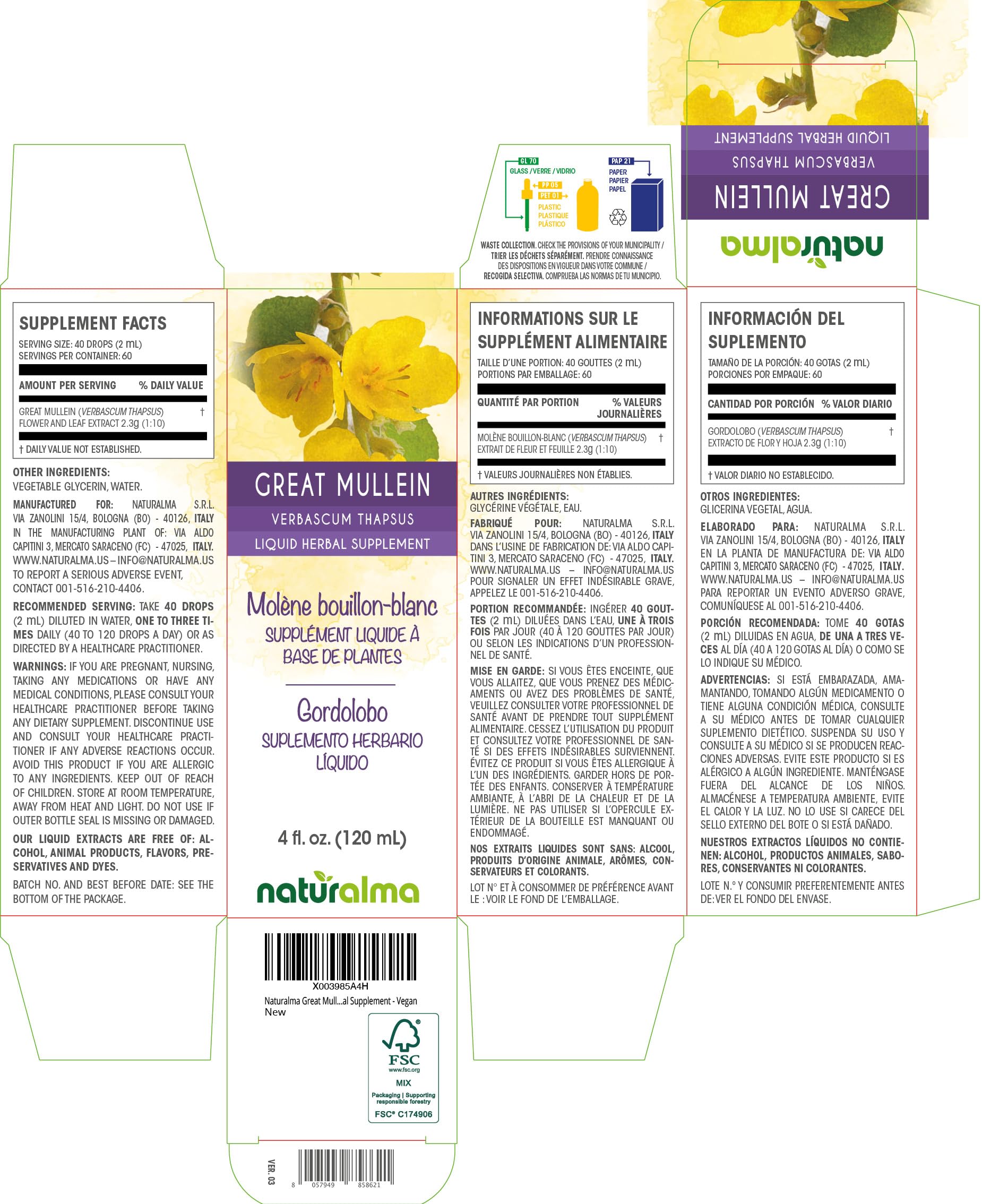 Naturalma Great Mullein Tincture (Verbascum thapsus) – Alcohol-Free, 4 fl oz, Vegan, Made in Italy