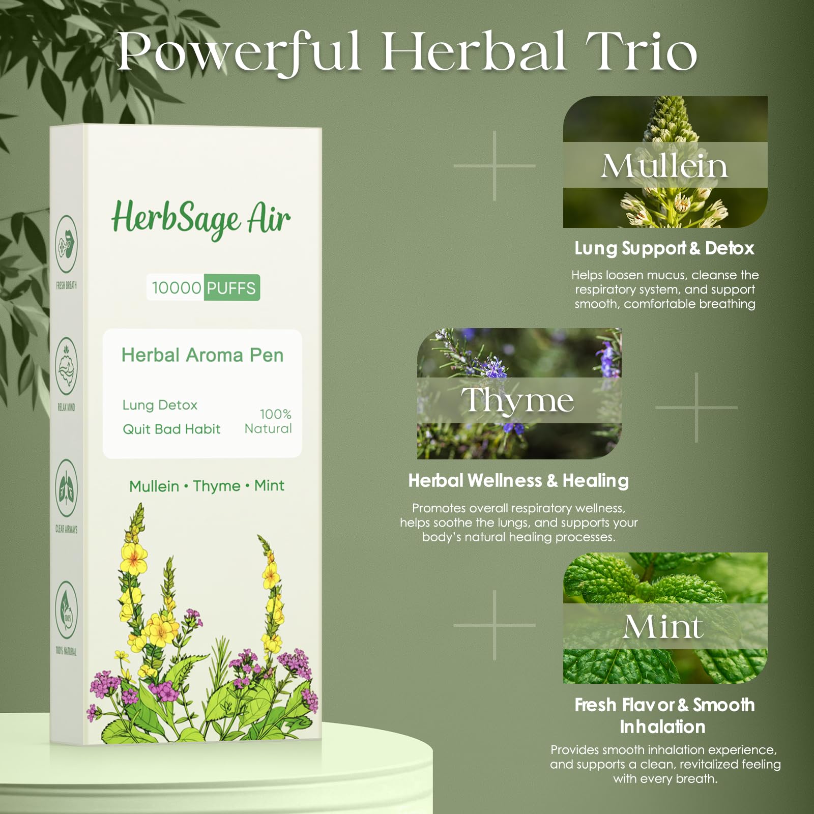 Mullein Herbal Diffuser Pen – ULTRA-LONG 10,000 Uses | All-Natural