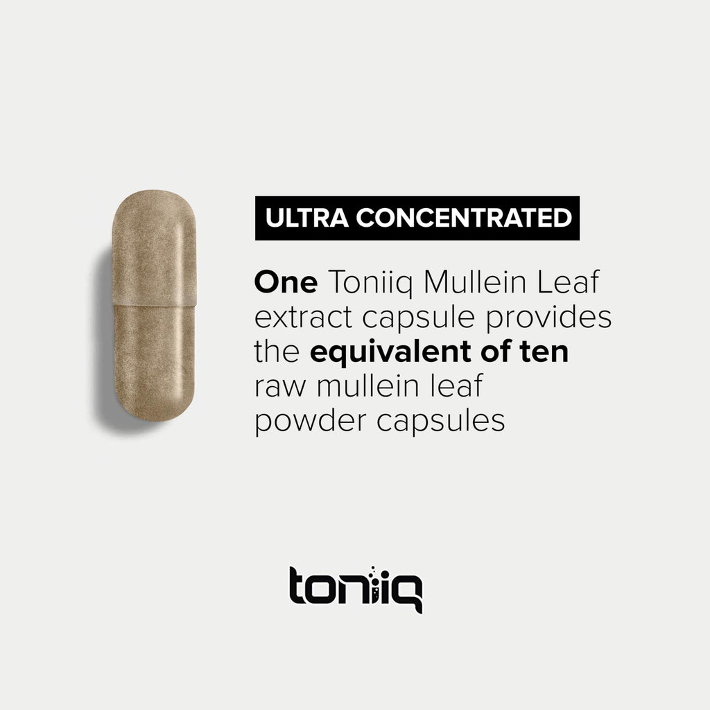 Mullein Leaf Capsules - Ultra High Potency 10:1 Extract | 1300mg per Serving | 120 Capsules