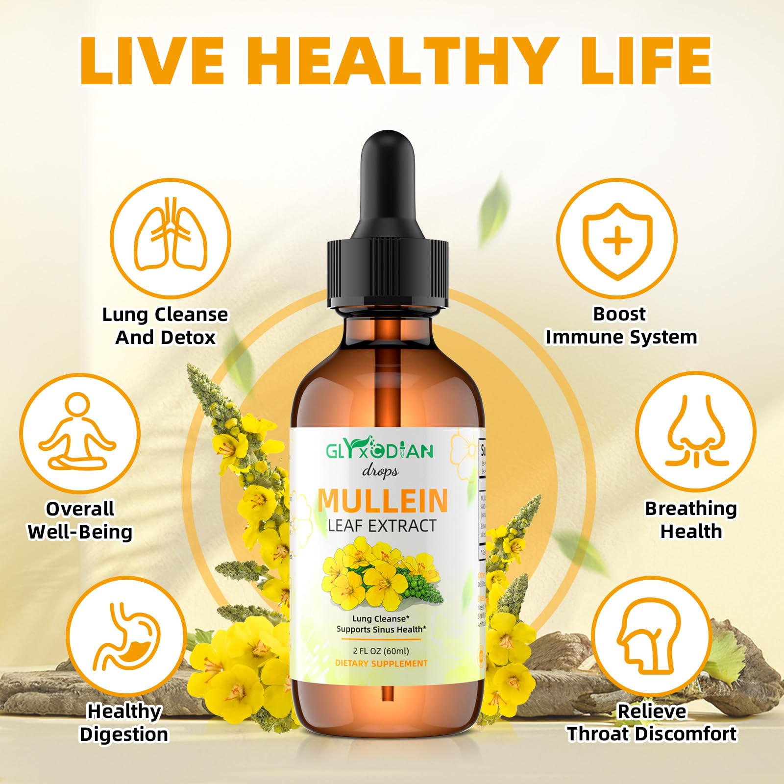 Mullein Leaf Extract Drops for Lungs – High Strength 1200mg Alcohol-Free Liquid Mullein | Lung Cleanse & Immune Support | Vegan & Non-GMO (60-Day Supply)