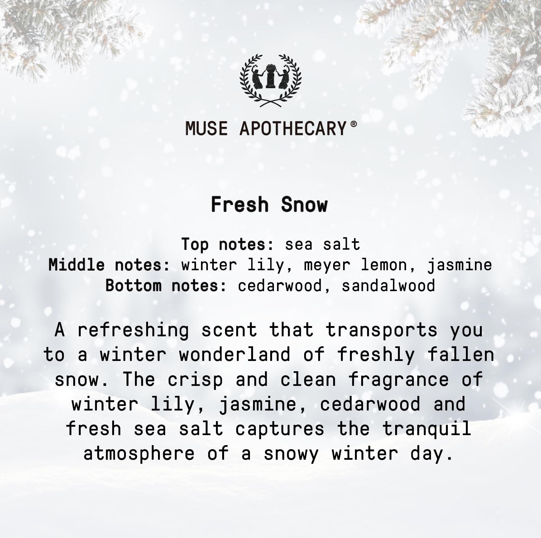 Muse Apothecary Room Ritual Room Spray - Fresh Snow 8 oz (2 Pack)