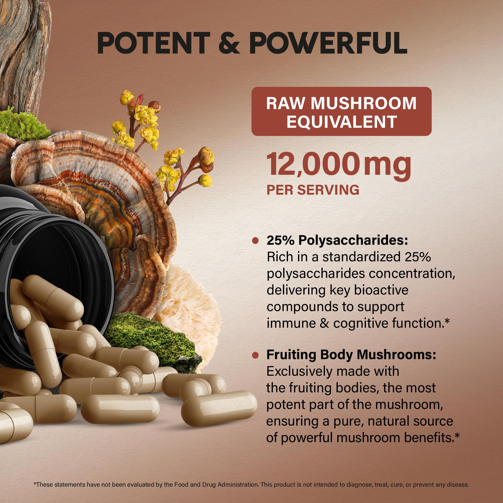 Mushroom Complex Supplement – Organic 12-Mushroom Blend, USA Made