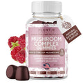Mushroom Gummies Premium – 10-Mushroom Complex (Lion's Mane & Reishi) | 60 Chews