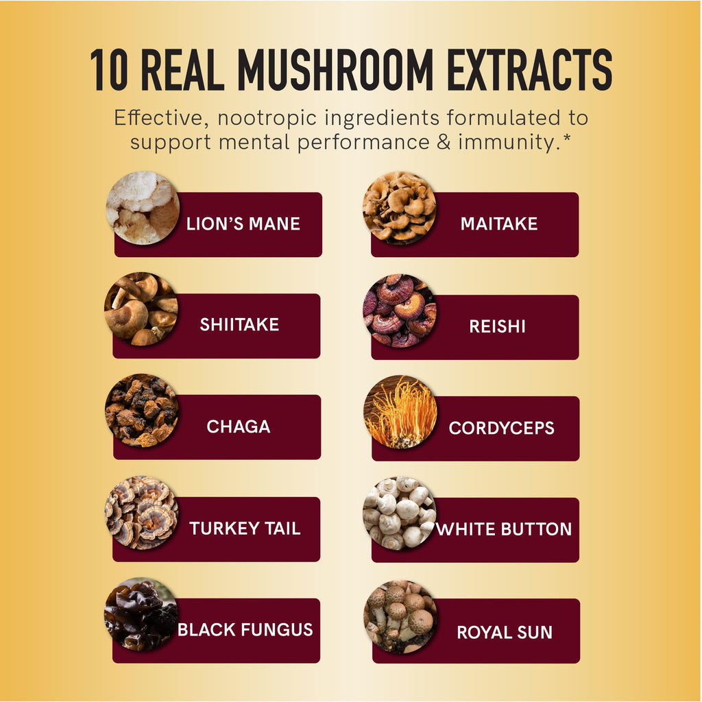 Mushroom Gummies for Adults | Nootropic Mushroom Supplement with Lions Mane, Turkey Tail, Reishi, Cordyceps, Chaga & Maitake | Raspberry Flavor | 60ct