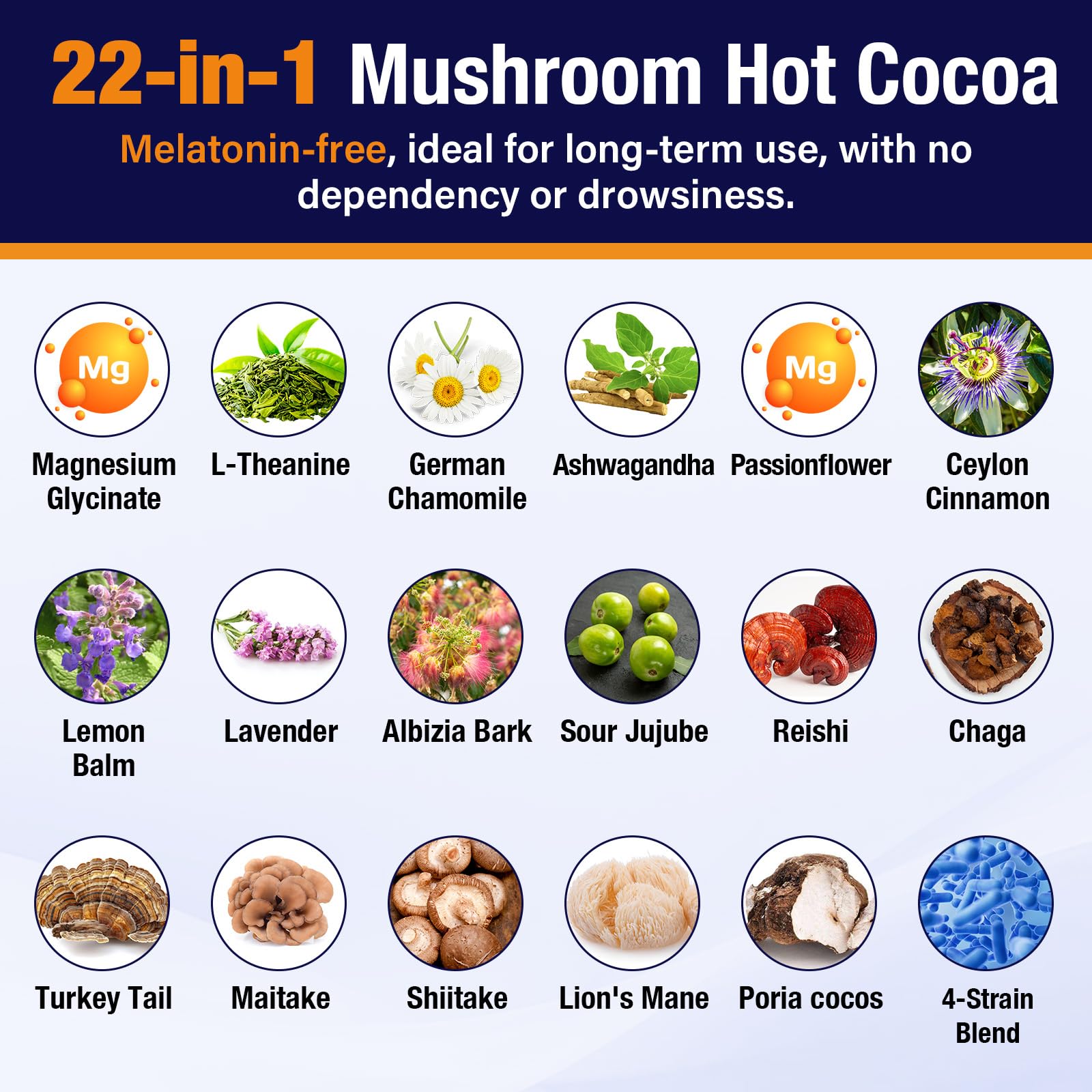 Mushroom Hot Cocoa with Magnesium Glycinate & Reishi - Vegan Sleep Support 7.4oz