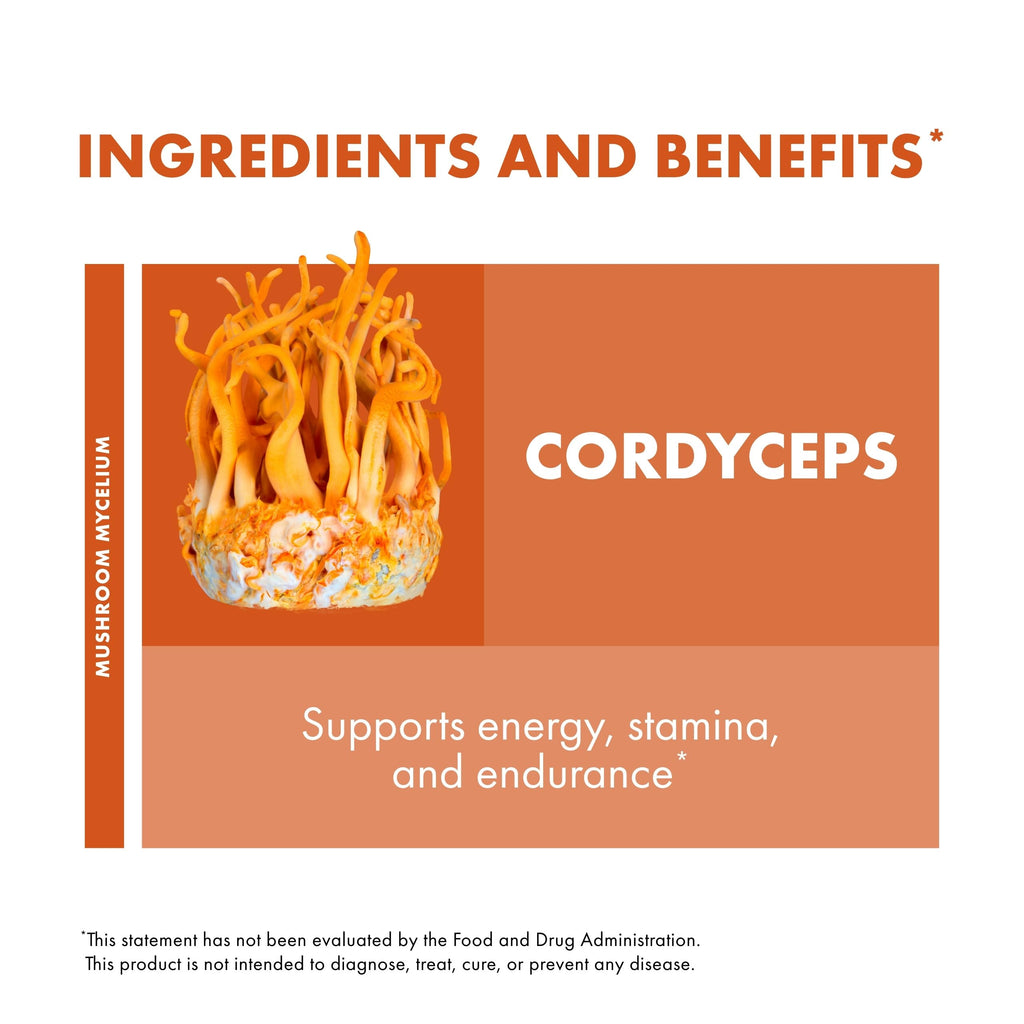 Host Defense Cordyceps Extract - Immune, Energy & Kidney Health Support - 2 oz
