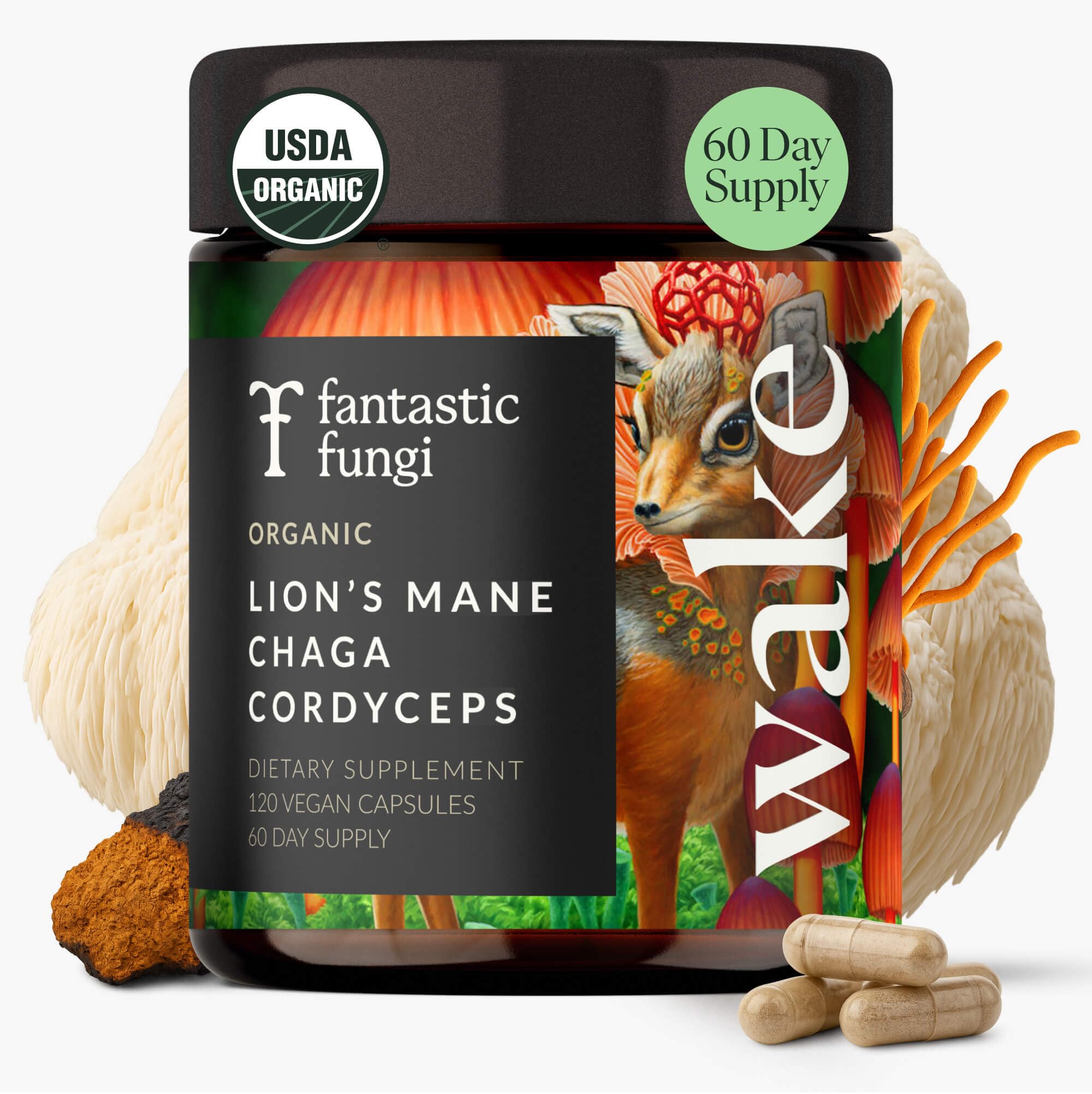 Mushroom Supplement with Lions Mane, Chaga & Cordyceps – USDA Organic, Vegan, 120 Caps (2-Month Supply)