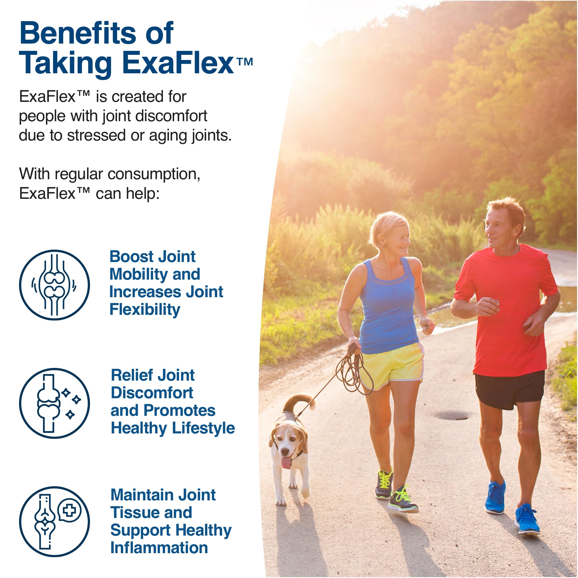 N-Labs ExaFlex Glucosamine Chondroitin MSM Capsules | Joint Support – Made in USA