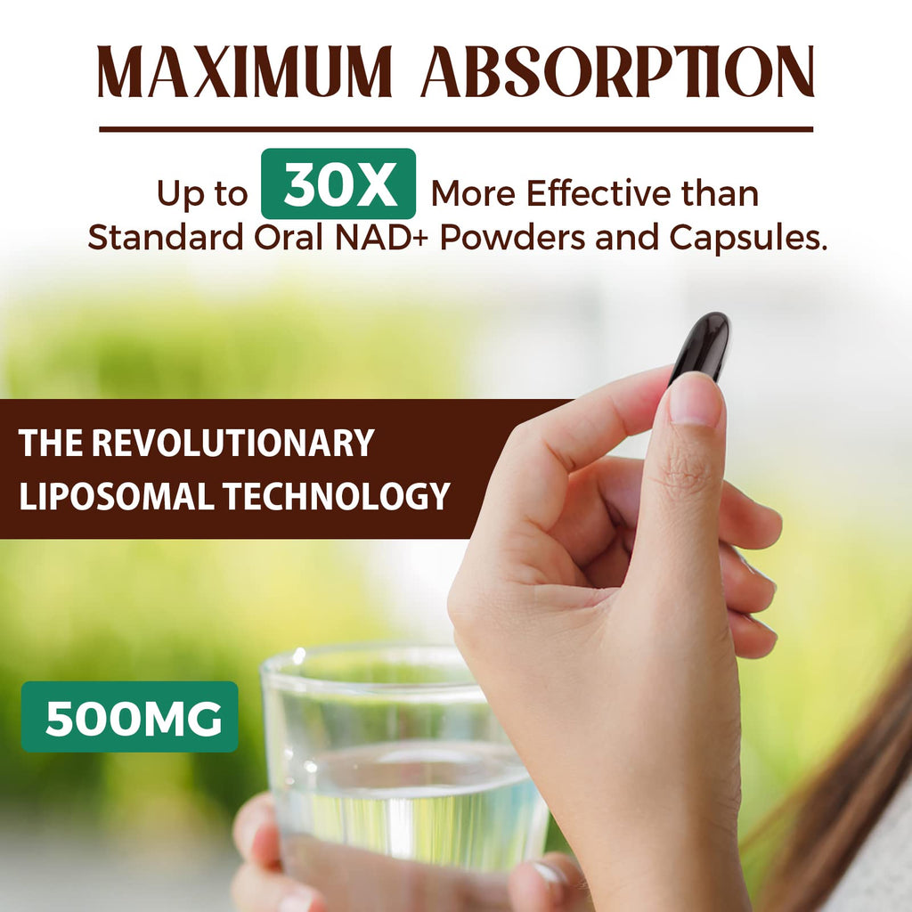 Caenciennes Liposomal NAD+ 500 mg Supplement — True NAD+, Superior Absorption, 240 Servings