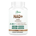 NAD Supplement 500mg - Pure Organic NAD+ for Women & Men | Trans-Resveratrol, CoQ10 & Quercetin