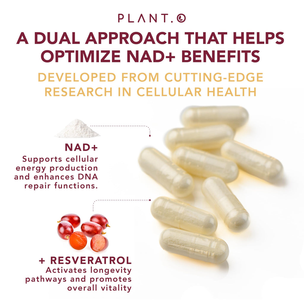NAD Supplement High Purity (500mg of 95% Pure NAD Plus) with Resveratrol - NMN and Nicotinamide Riboside Alternative for Energy, Anti-Aging, Cell Regeneration, Focus – 60 Pills
