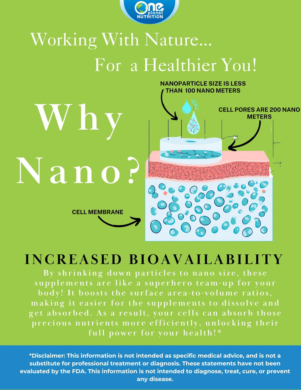 One Planet Nutrition Nano Curcumin Plus – 500 mg Veggie Capsules (240 Servings) | Joint & Immune Support