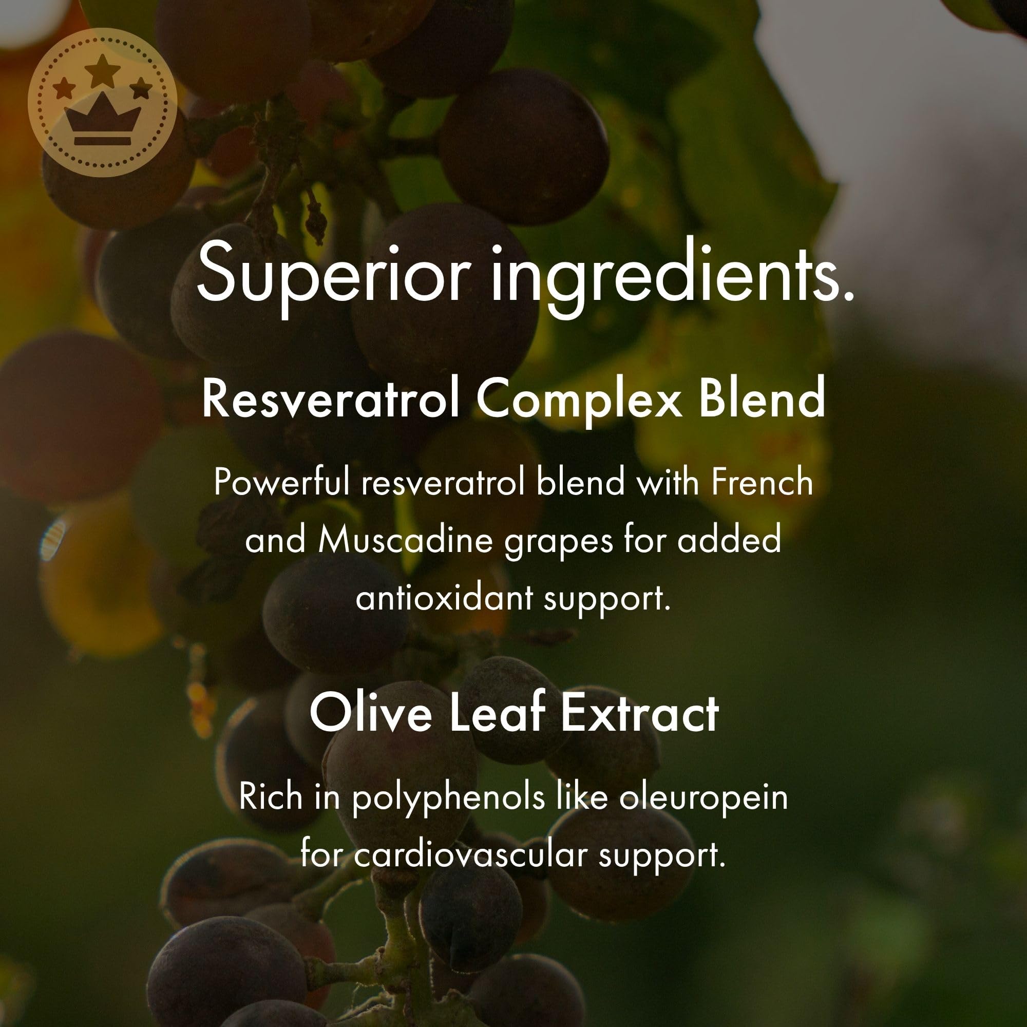 NAOMI Italian Citrus Bergamot 500mg + Resveratrol — 7 Polyphenols, 90-Day Supply