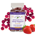 Native Remedies Melatonin-Free Sleep Gummies – Sugar-Free Herbal Sleep Aid for Adults (GABA, Magnesium, L-Theanine & Valerian) – 60 Gummies
