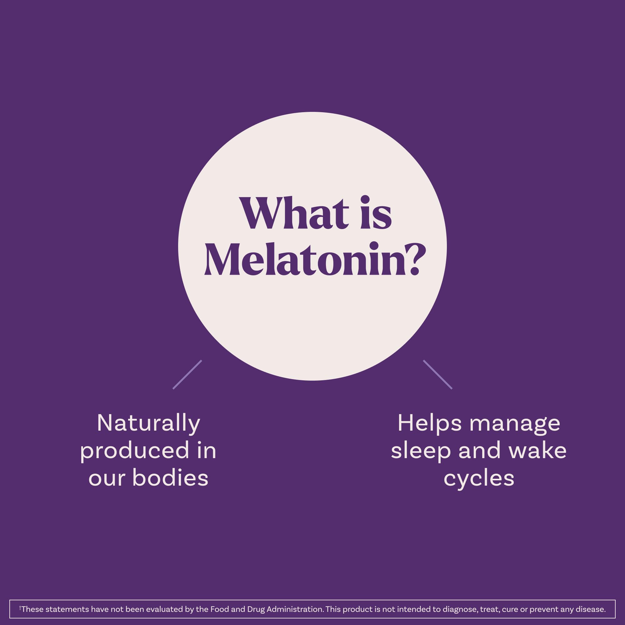 Natrol Liquid Melatonin 1 mg – Berry Sleep Aid, 2 fl oz, 15 Servings