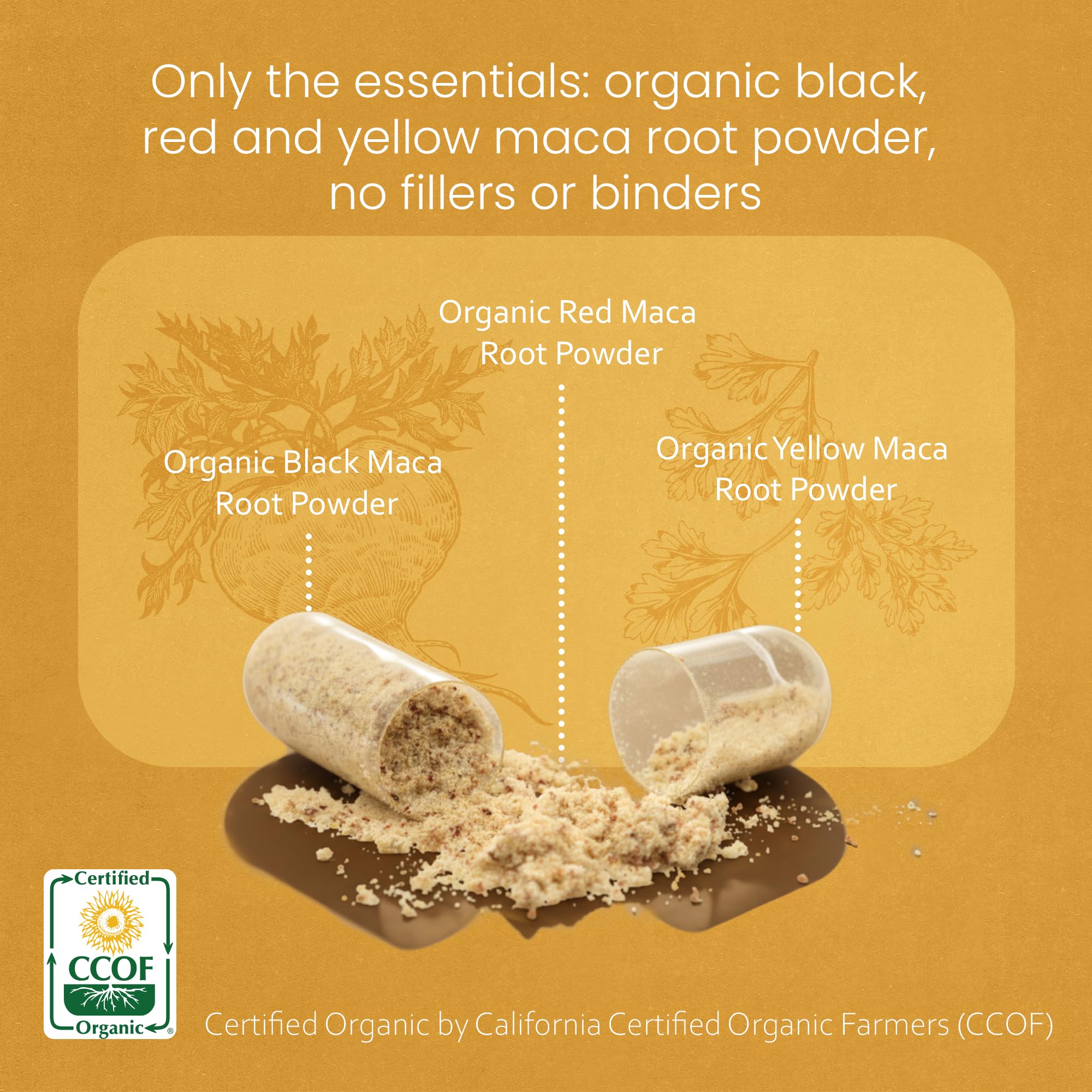 NaturaLife Labs Organic Maca Root – Black, Red & Yellow | 1900 mg per Serving | 150 Capsules | Vegan