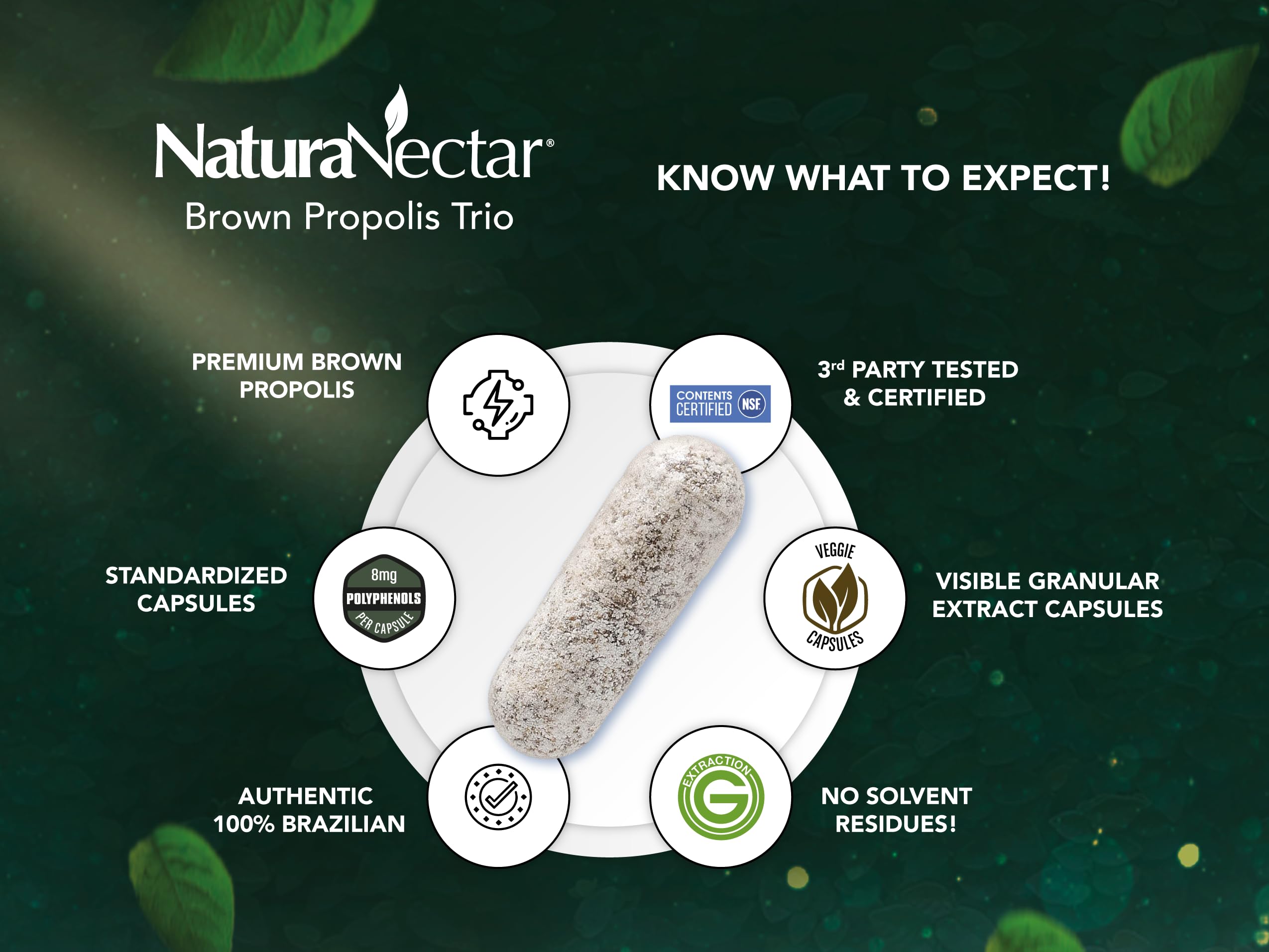 NaturaNectar Brown Bee Propolis - NSF Certified, Gluten-Free, Premium Brazilian Propolis (60pcs)