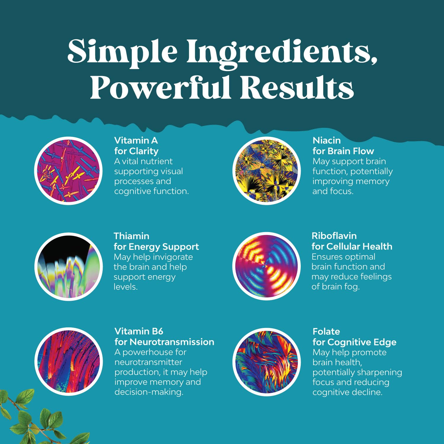 Nootropic Brain Supplement for Memory & Focus – Mental Clarity