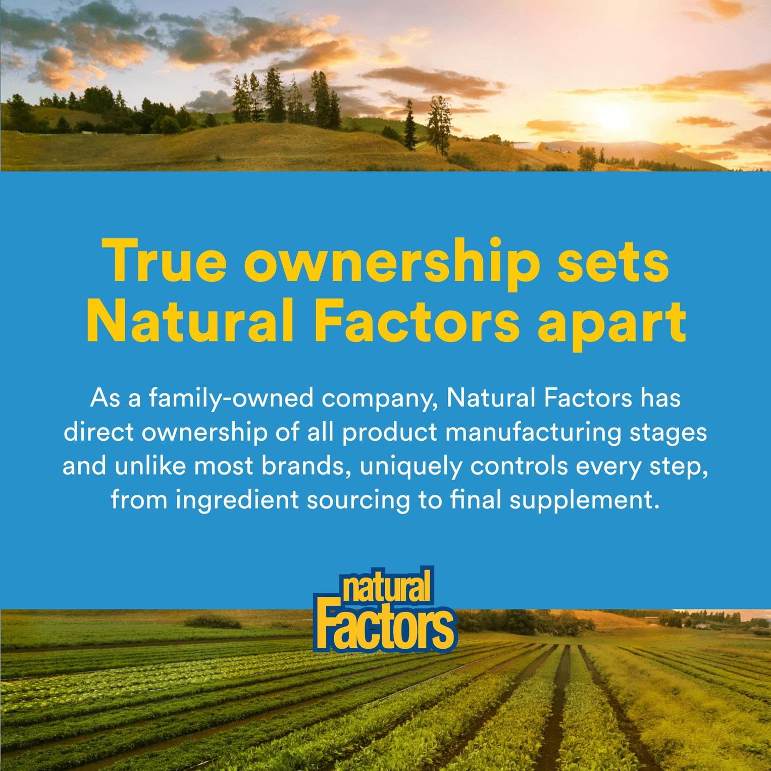 Natural Factors Acetyl L-Carnitine 500 mg - 60 Vegetarian Capsules