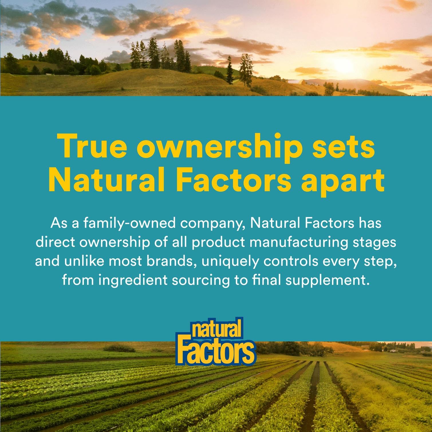 Natural Factors Alpha-Lipoic Acid + B 600 mg – 60 Capsules | Antioxidant Support