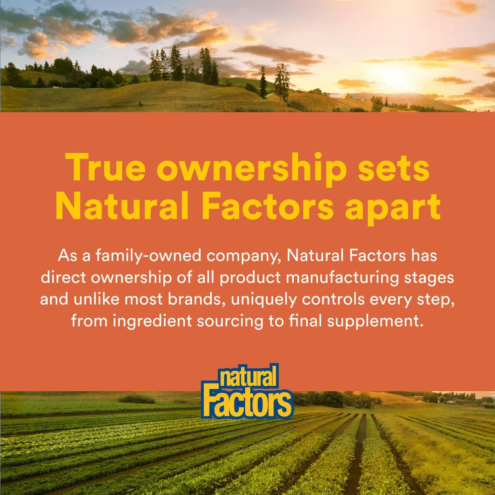 NATURAL FACTORS Astaxanthin Plus 4Mg, 60 CT | Eye Health & Immunity