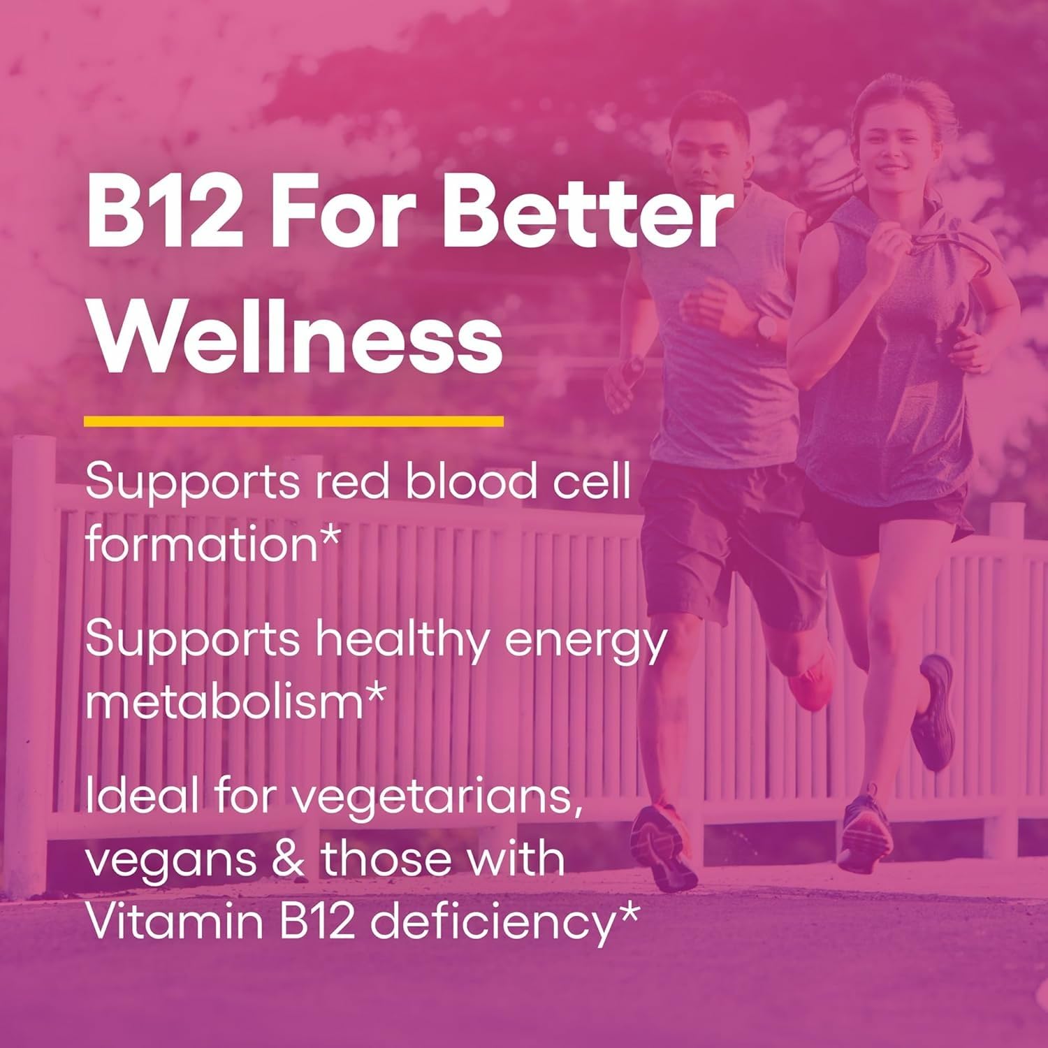 Natural Factors Vitamin B12 Methylcobalamin 5000 mcg – Chewable, Energy & Immune Support (60 tabs)
