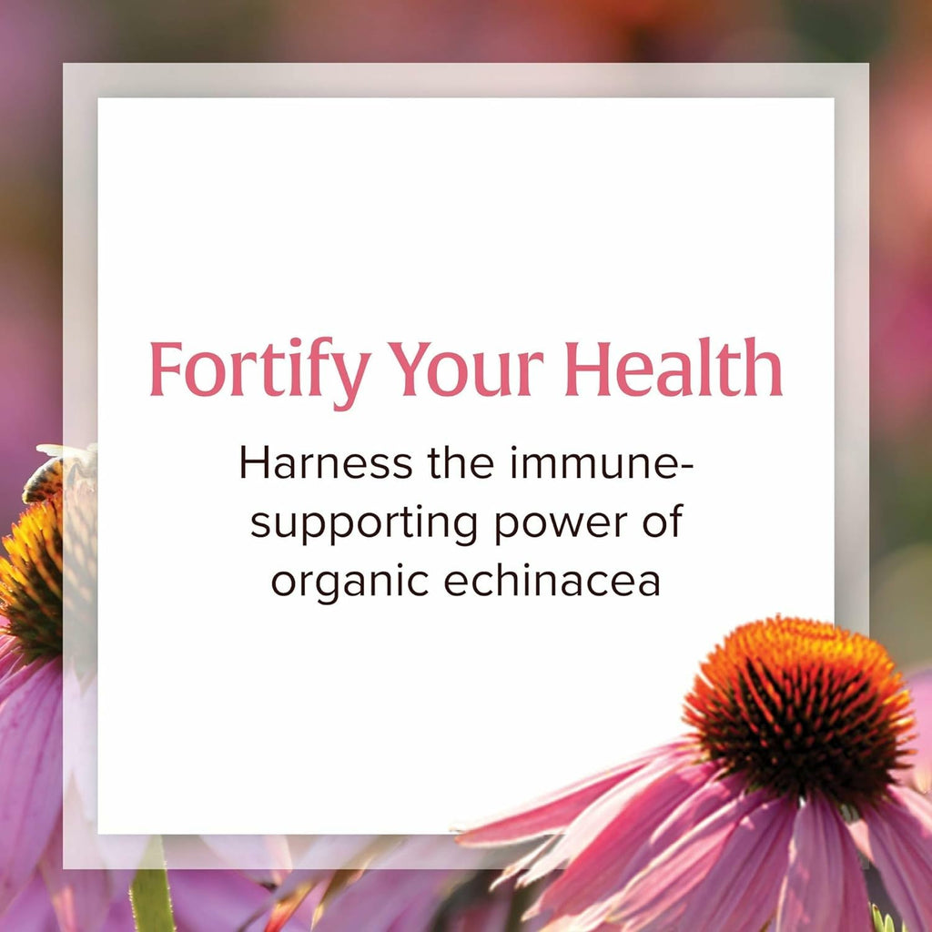 Natural Factors Anti-V Liquid Formula Echinacea Supplement for Immune & Wellness Support – Organic, Non-GMO, 3.4 oz (100 Servings)